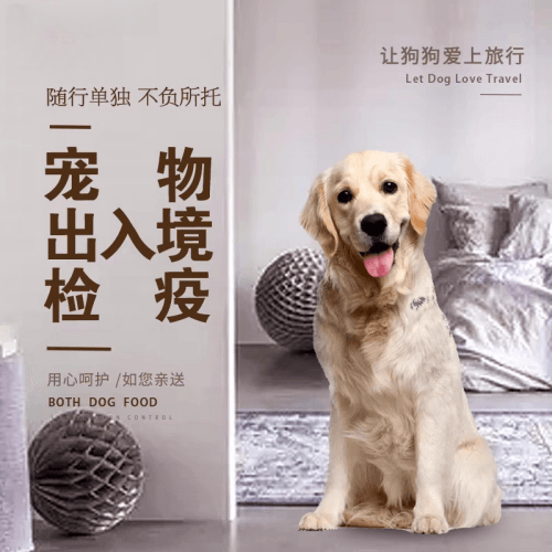 阿克苏宠物托运到哥伦比亚猫狗宠物入境规定和