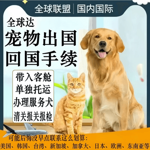 阿克苏宠物托运到柬埔寨宠物入境规定和要求