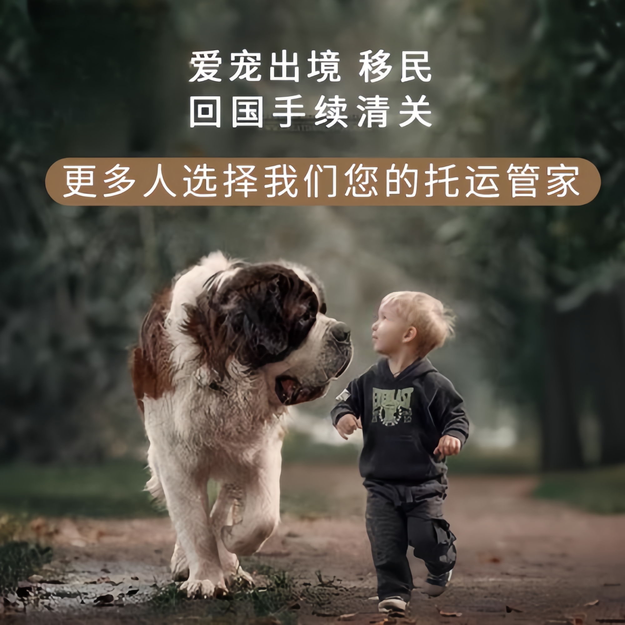 满财阿克苏宠物全球达宠物托运在遵守入境目的地政策的条件